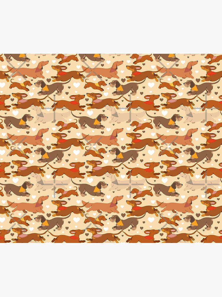 Dachshunds in cream by animalartbyjess