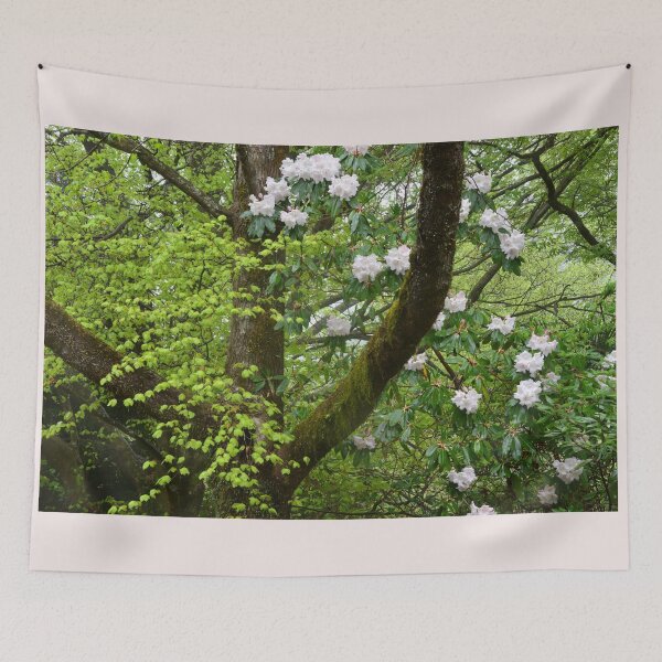 Item preview, Spring - Mt Wilson NSW Australia designed and sold by Bev Woodman.