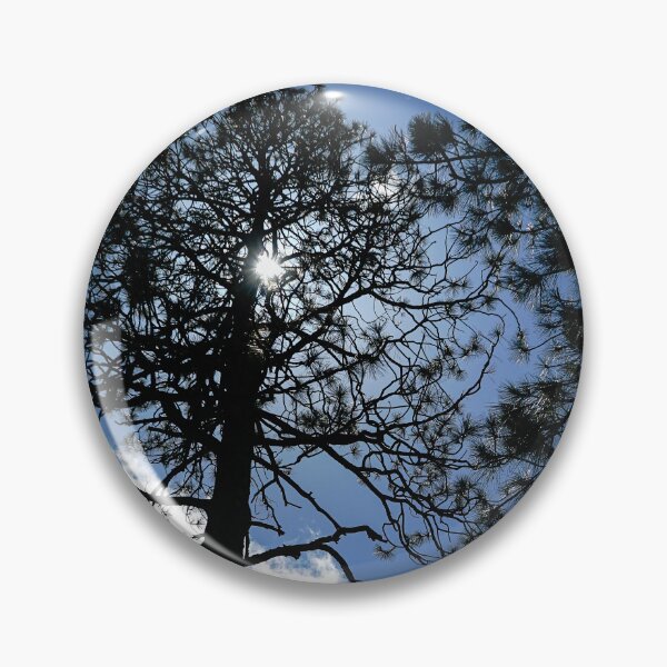 Item preview, Through The Trees, Mount Wilson, California designed and sold by Douglas E. Welch Design and Photography.