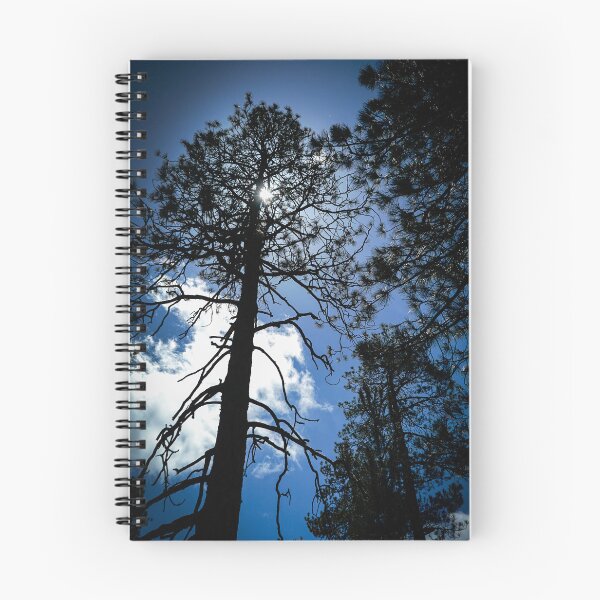 Item preview, Through The Trees, Mount Wilson, California designed and sold by Douglas E. Welch Design and Photography.