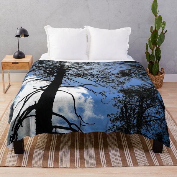 Item preview, Through The Trees, Mount Wilson, California designed and sold by Douglas E. Welch Design and Photography.