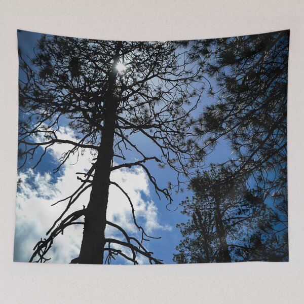 Item preview, Through The Trees, Mount Wilson, California designed and sold by Douglas E. Welch Design and Photography.
