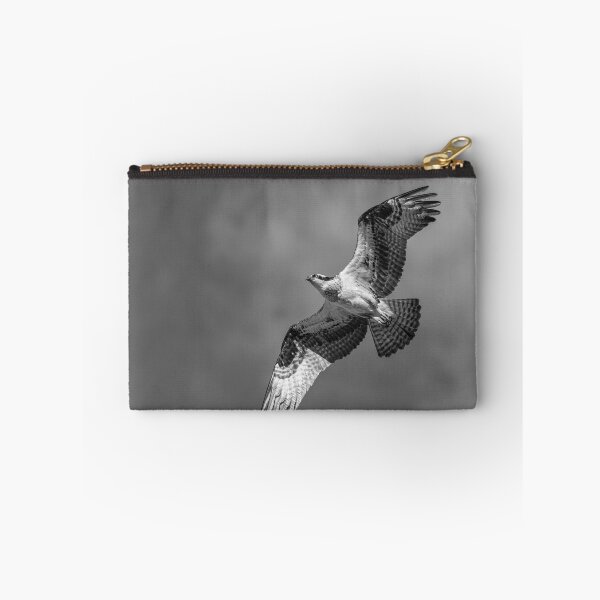 Item preview, Osprey 2017-4 designed and sold by Thomasyoung.