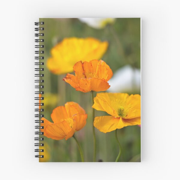 Item preview, Poppies 1 designed and sold by Werner Padarin.