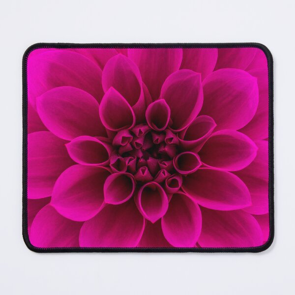 Item preview, Alotta Pink designed and sold by John Velocci.
