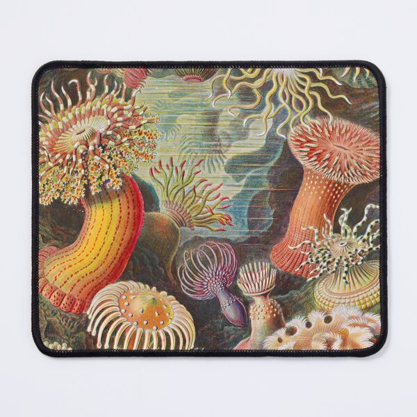Item preview, Ernst Haeckel Sea Anemones Vintage Illustration designed and sold by Vintage Wall Art.
