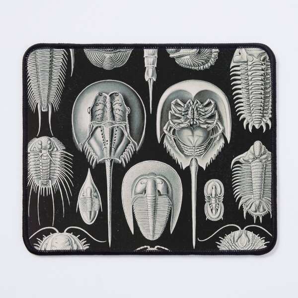 Item preview, Ernst Haeckel Horseshoe Crab Vintage Illustration designed and sold by Vintage Wall Art.