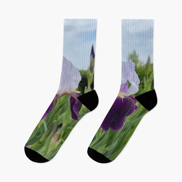 Item preview, Purple Wabash Bearded Iris Flower Bloom Photo designed and sold by Gsallicat.