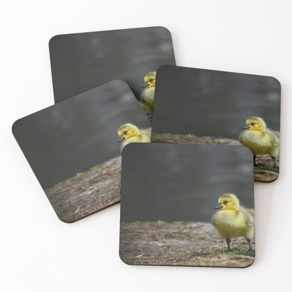 Item preview, Yellow Small Chicken On a Walk designed and sold by Borinna.