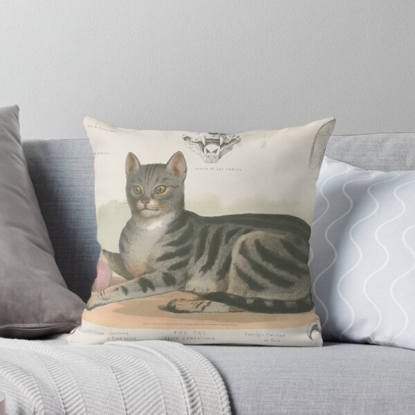 Item preview, 1800 designed and sold by Vintage Wall Art.