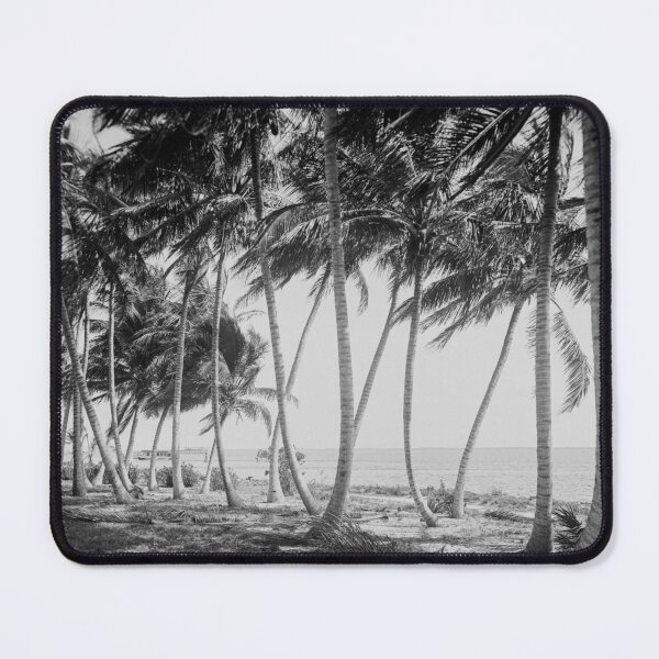 Item preview, Miami Florida Palm Trees Black and White Vintage Photograph, 1915 designed and sold by Vintage Wall Art.