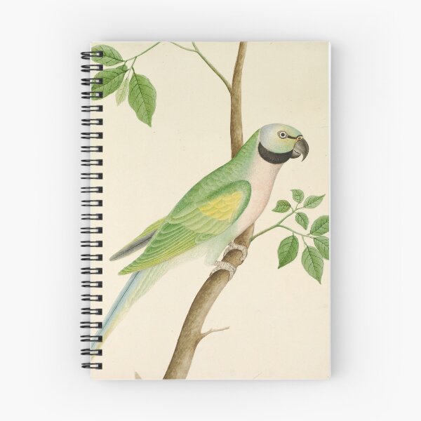 Item preview, Green Parrot Painting, 1820 designed and sold by Vintage Wall Art.