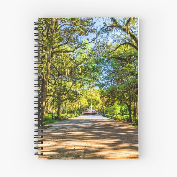 Item preview, Forsyth Park Savannah designed and sold by GestaltImagery.