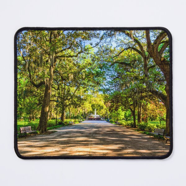 Item preview, Forsyth Park Savannah designed and sold by GestaltImagery.