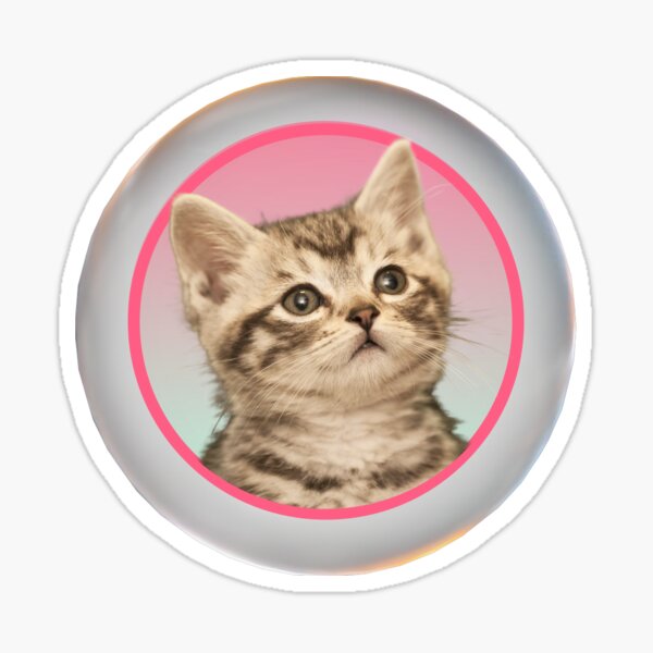 "Bubble Kitty" Sticker for Sale by fireangel07 Redbubble