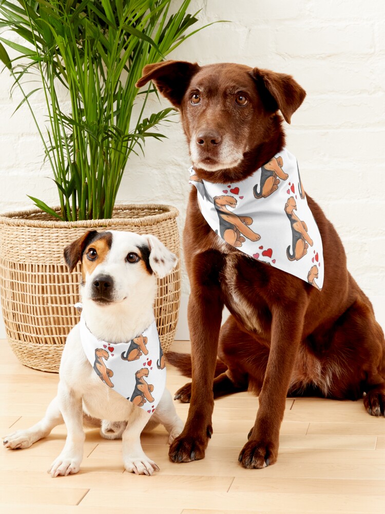 Alternate view of Airedale Terrier Love Pet Bandana
