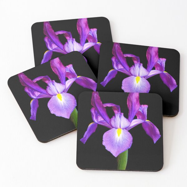 Item preview, iris alto designed and sold by amgphotography.