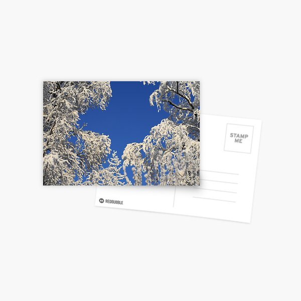 Icy Blue Postcard