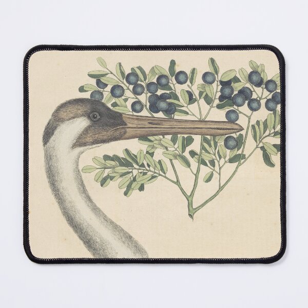 Item preview, The Hooping Crane Vintage Bird Print, Mark Catesby designed and sold by Vintage Wall Art.