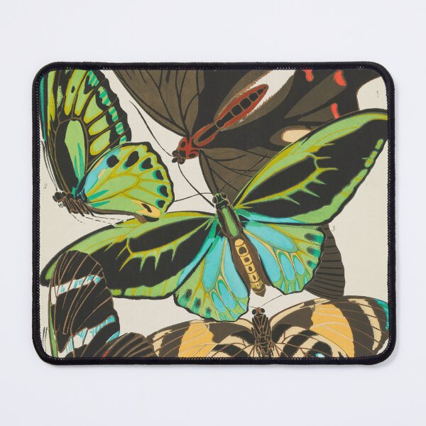 Item preview, Vintage 1920s Butterfly Illustration by E.A. Seguy #19 designed and sold by Vintage Wall Art.