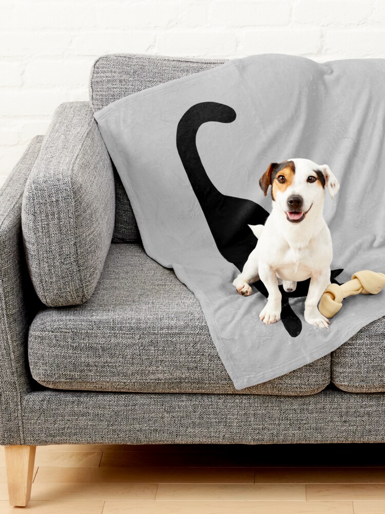 https://ih1.redbubble.net/image.3603160113.4452/ur,pet_blanket_small_lifestyle_couch,tall_portrait,750x1000.jpg