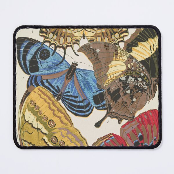 Item preview, Vintage Butterfly Illustration by E.A. Seguy #13 designed and sold by Vintage Wall Art.
