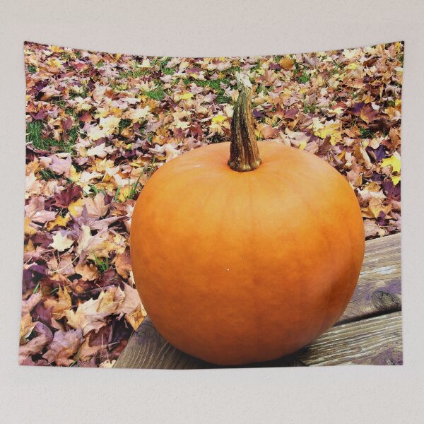 Item preview, Harvest Colors designed and sold by CJGrimes.