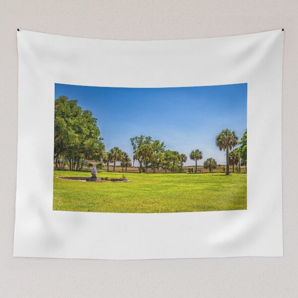Item preview, Cumberland Island National Seashore designed and sold by GestaltImagery.