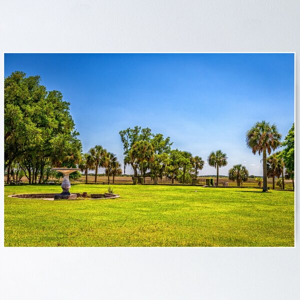 Item preview, Cumberland Island National Seashore designed and sold by GestaltImagery.