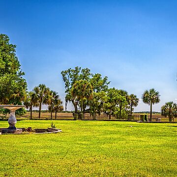 Artwork thumbnail, Cumberland Island National Seashore by GestaltImagery