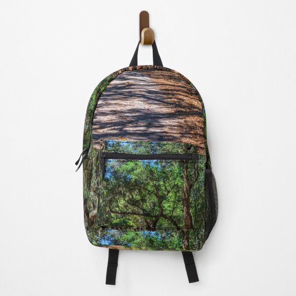 Item preview, Cumberland Island National Seashore designed and sold by GestaltImagery.