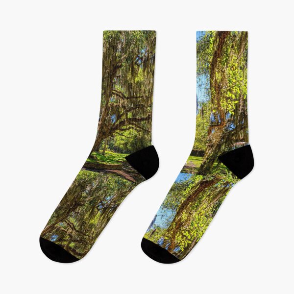 Item preview, Cumberland Island National Seashore designed and sold by GestaltImagery.