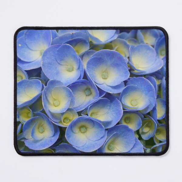 Item preview, Hydrangea closeup designed and sold by Gaspar Avila.