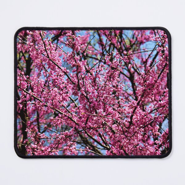 Item preview, Redbuds designed and sold by CJGrimes.