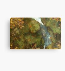 Automnal exploration Metal Print