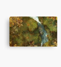 Automnal exploration Canvas Print