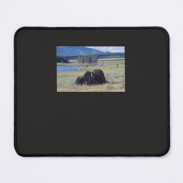 Item preview, Bison Classic designed and sold by guginoqqb.