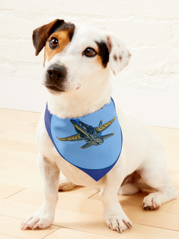 Airplane Small Dog Collar