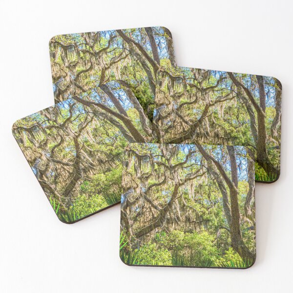 Item preview, Cumberland Island National Seashore designed and sold by GestaltImagery.