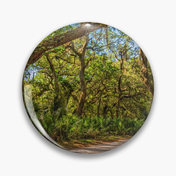 Item preview, Cumberland Island National Seashore designed and sold by GestaltImagery.