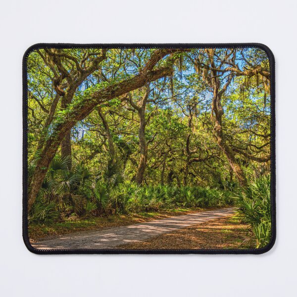 Item preview, Cumberland Island National Seashore designed and sold by GestaltImagery.
