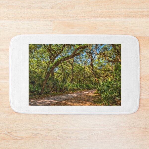Item preview, Cumberland Island National Seashore designed and sold by GestaltImagery.