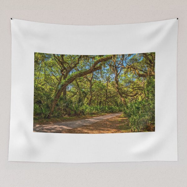 Item preview, Cumberland Island National Seashore designed and sold by GestaltImagery.