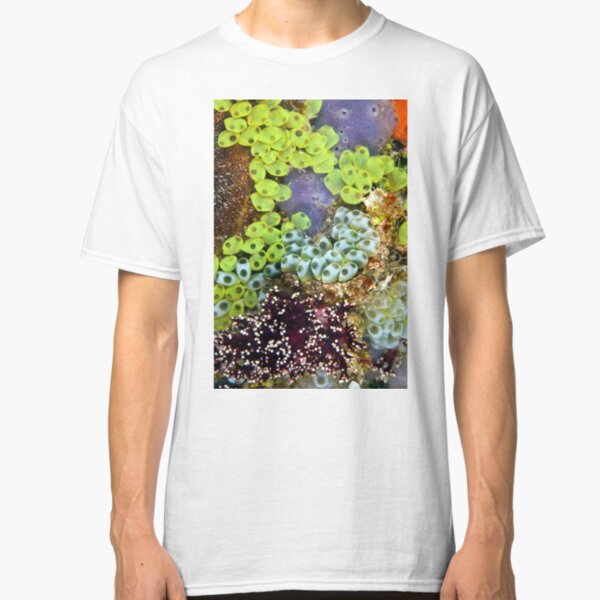 Potpourri Classic T-Shirt