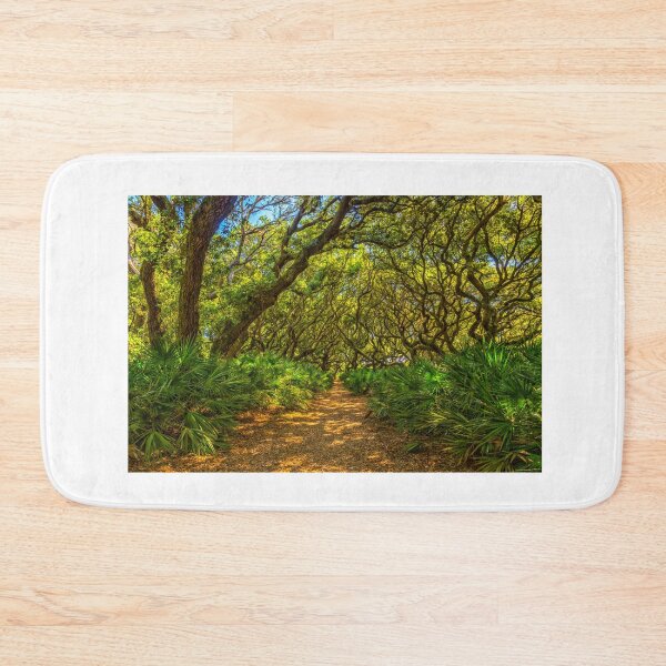 Item preview, Cumberland Island National Seashore designed and sold by GestaltImagery.