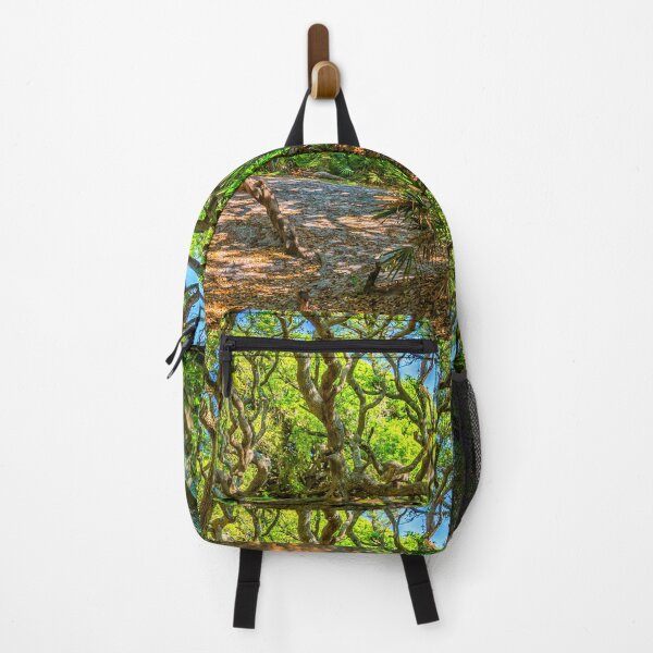 Item preview, Cumberland Island National Seashore designed and sold by GestaltImagery.