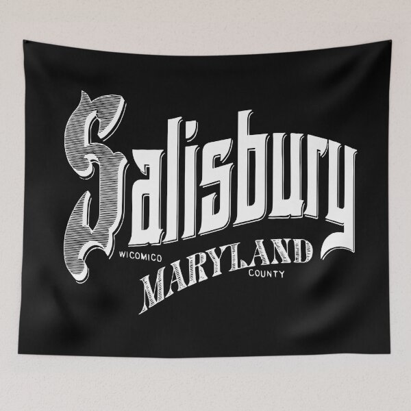 Item preview, Vintage Salisbury, MD designed and sold by DonDota.