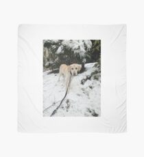 Yellow Lab in Snow Scarf
