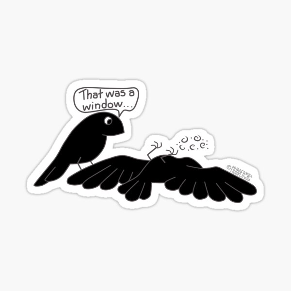 Streak free clean Sticker