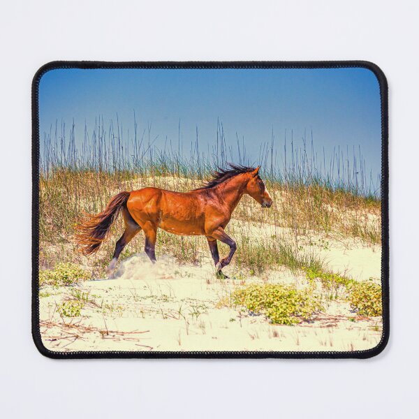 Item preview, Wild Horses at Cumberland Island National Seashore designed and sold by GestaltImagery.